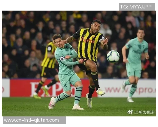 沃特福德与狼队比赛数据分析及统计解读全方位剖析